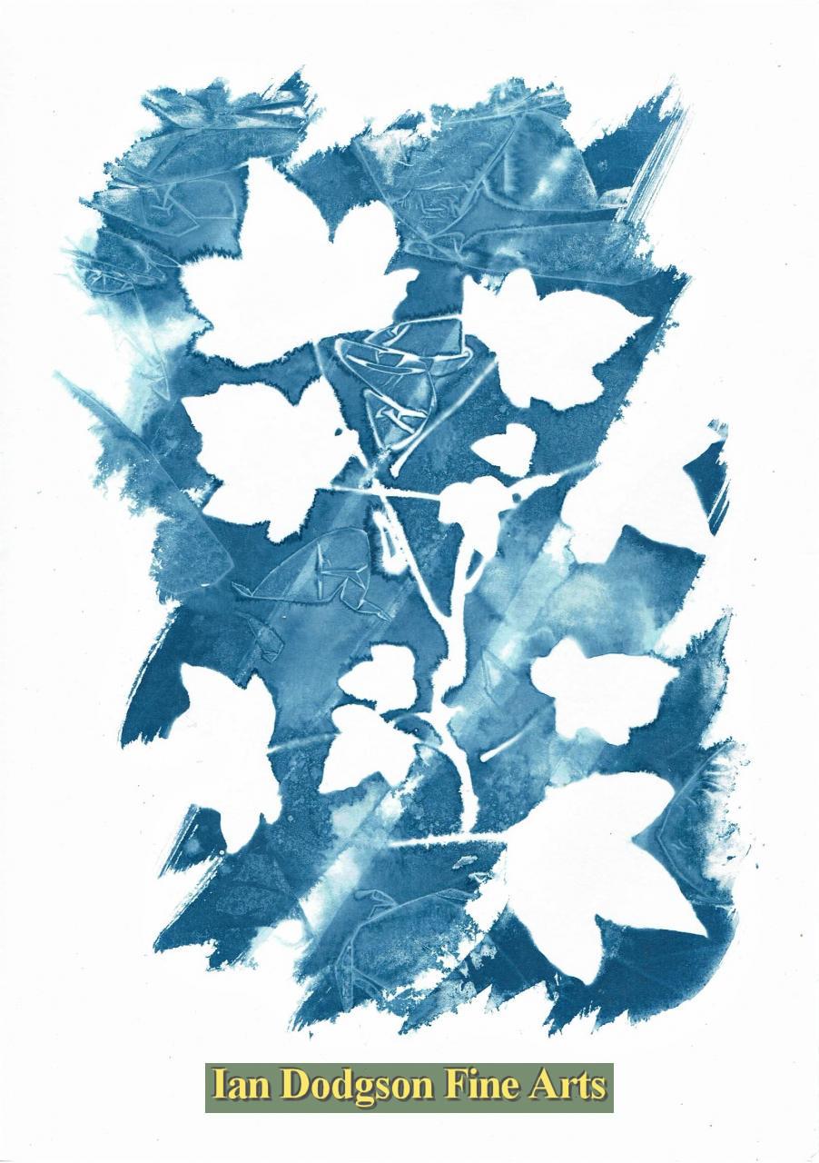 Ivy by Gill Hughes