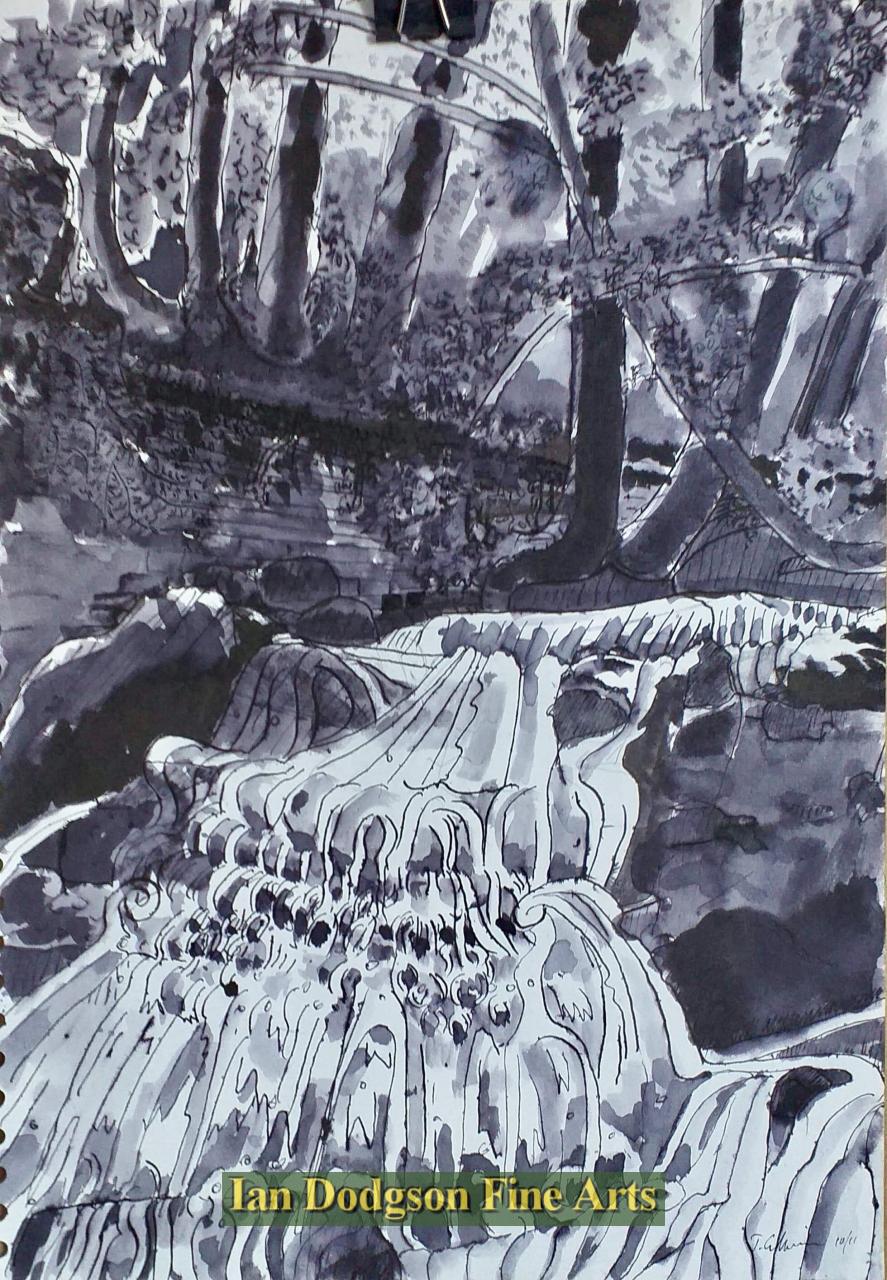 Jeremy Cullimore - Afon Dulyn Ink on paper (2020)