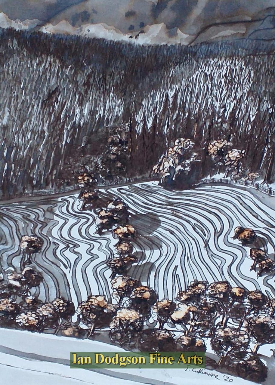 Jeremy Cullimore - Hayfield under Briachmelyn Woods Ink on paper (2020)