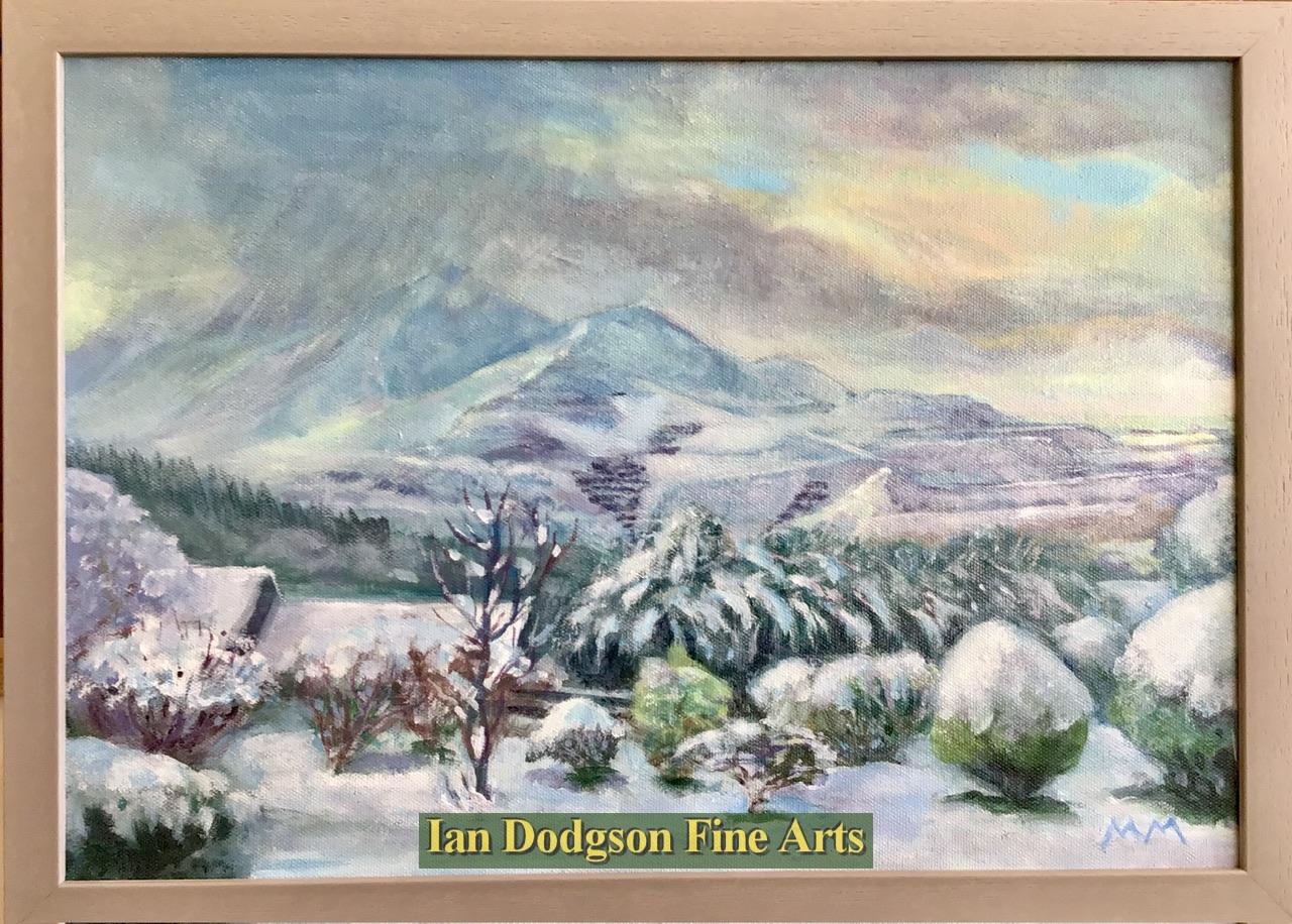 Snow over Bethesda 2026 by Martin Morley