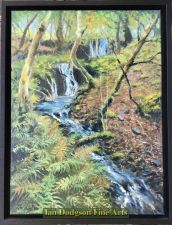 'Phil Jackson - Outflow from Llyn Crafnant